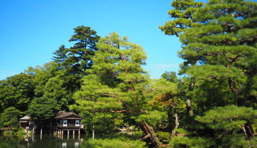 【旅レポ】京都と金沢に行ってきた！21世紀美術館のプールやスイーツ、兼六園など〜金沢編〜